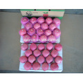 Yantai fruits frais rouge fuji apple meilleur exportateur de prix en Chine